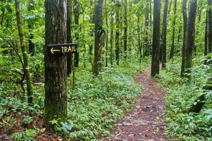 Mesopotamia Valley to Buccament Beach: Guided Nature Trail Near Kingstown photo 4