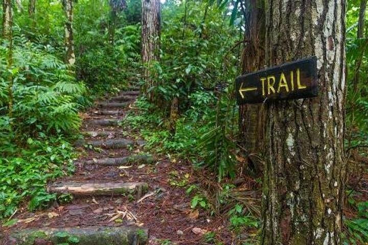 Mesopotamia Valley to Buccament Beach: Guided Nature Trail Near Kingstown photo 6