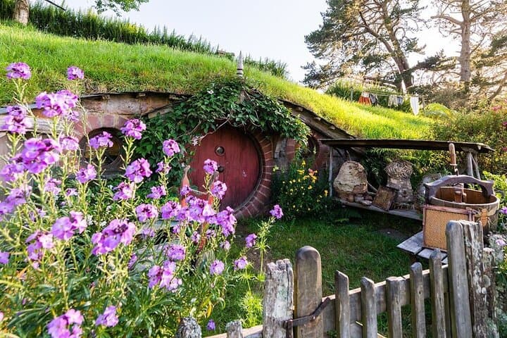 Hamilton to Hobbiton & Waitomo Glowworm Caves — Private One-Day Tour photo 6