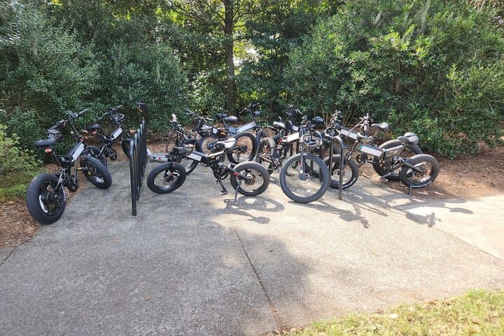 Wilmington E-Bike to Airlie Gardens: Self-Guided 3.25-Hour Coastal Ride photo 3