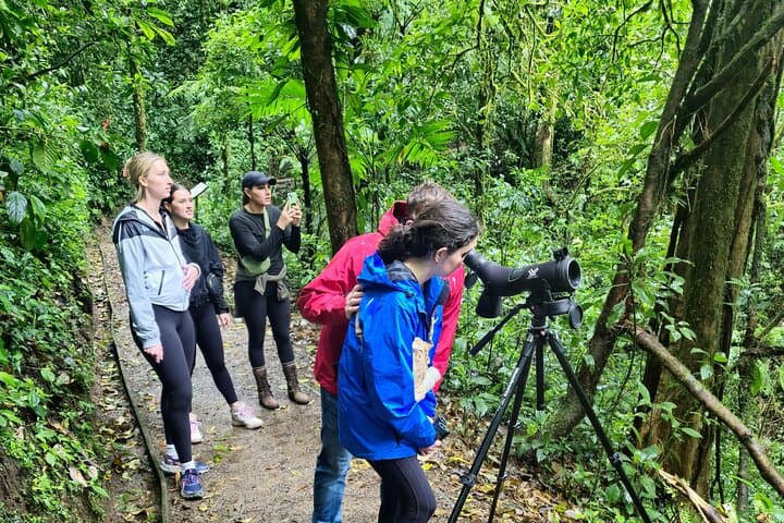 Monteverde Cloud Forest Guided Walk — Quetzal, Bellbird & Hummingbird Garden photo 2