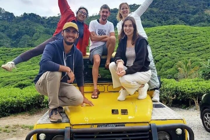 Mossy Forest Walk and BOH Tea Estate: Full-Day Cameron Highlands Tour photo 6