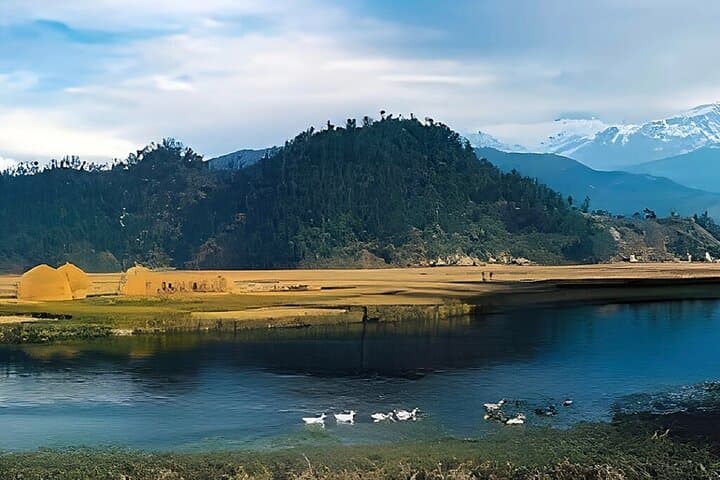 3-Hour Birdwatching in Pokhara — Phewa Lake Wetlands & Stupa Trails photo 2