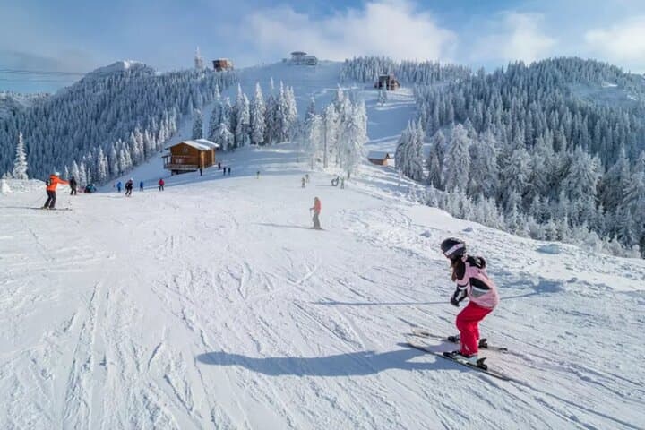Snowmobile Rides in the Carpathians: Azuga Day Trip from Bucharest photo 3