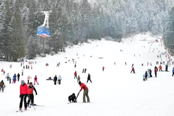 Snowmobile Rides in the Carpathians: Azuga Day Trip from Bucharest photo 5