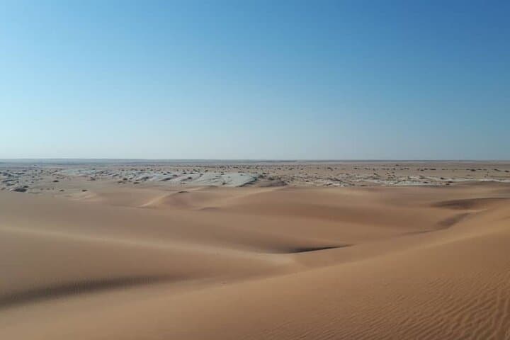 Living Desert Hike Near Swakopmund: Namib Desert Walk photo 2