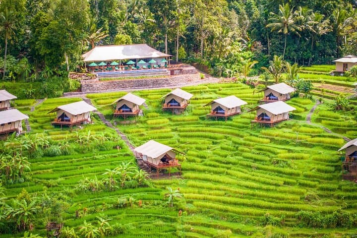 Kaura Pool and Dine: Village Activities, Lunch & Infinity Pool Day Trip from Ubud photo 3