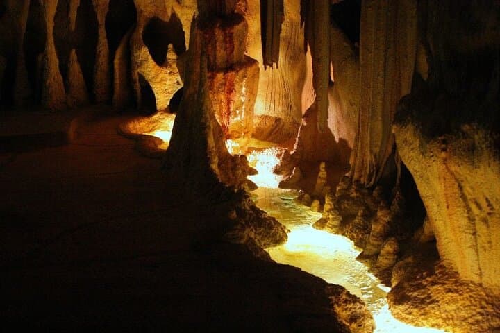 Hop-On Hop-Off Tamborine Mountain: Rainforest Skywalk & Glow Worm Caves photo 3