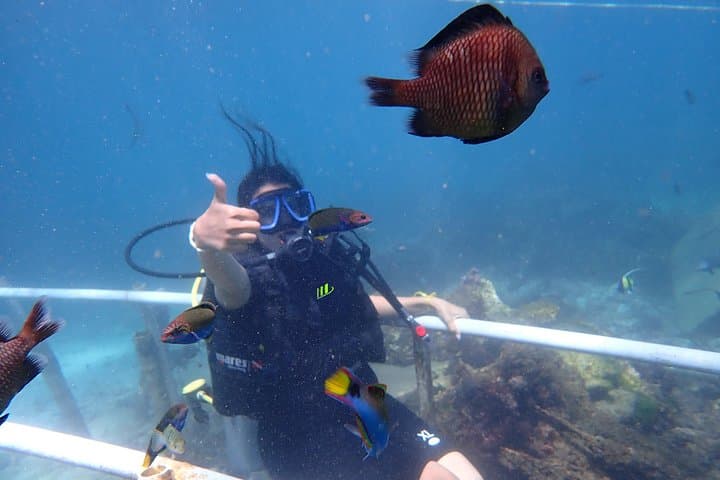 Nusa Dua Parasailing, Tubing & Diving: 90-Minute Marine Adventure photo 4