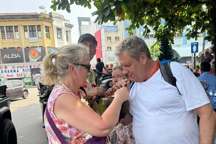 Colombo Shore Excursion: 3–4 Hour City Highlights Tour from the Cruise Port photo 4