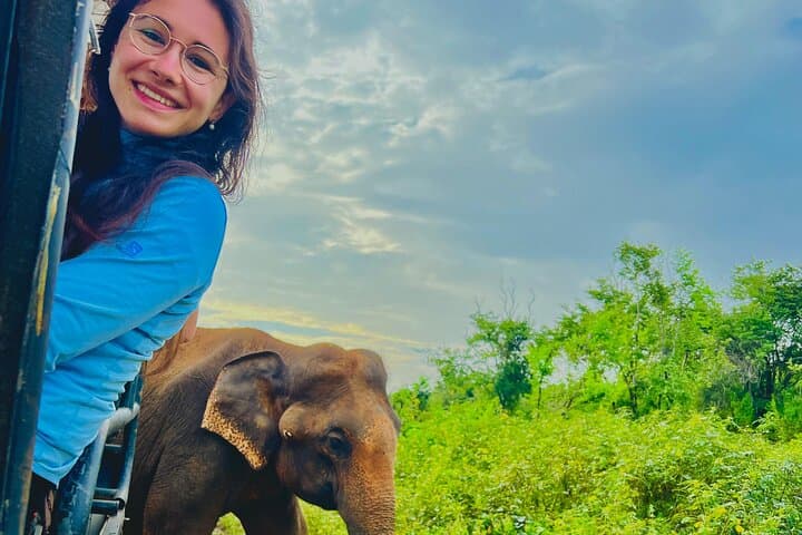Udawalawe Wild Life Safari: Private Elephant Encounters & Transit Home Visit photo 3