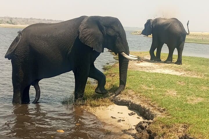 8-Day Victoria Falls, Chobe & Okavango Delta Safari: Falls, Elephants & Mokoro photo 2