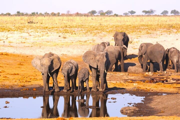 8-Day Victoria Falls, Chobe & Okavango Delta Safari: Falls, Elephants & Mokoro photo 5