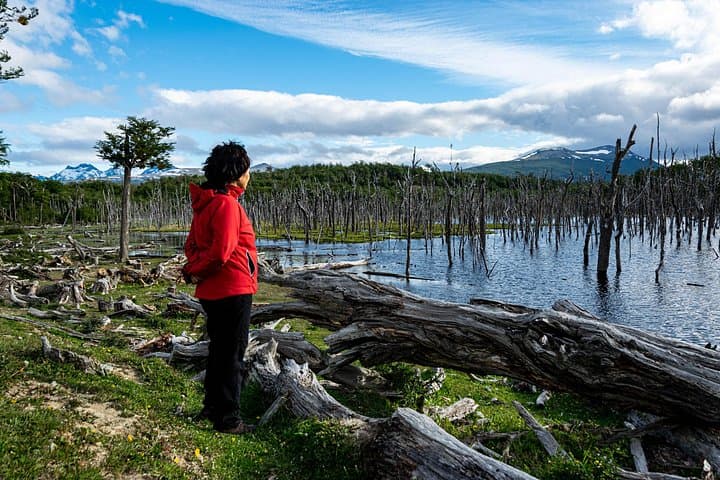 Escondido y Fagnano Lakes Day Trip from Ushuaia — Lakes, Peat Bogs & Short Hikes photo 2