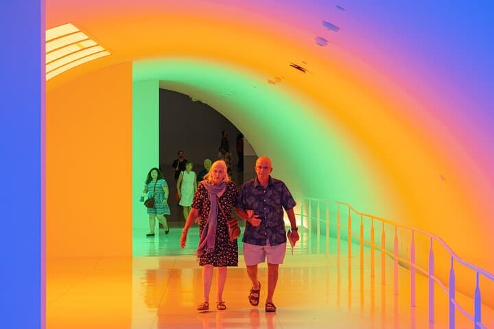 Explore the Museum of Fine Arts Houston: All-Access Admission Guide photo 5