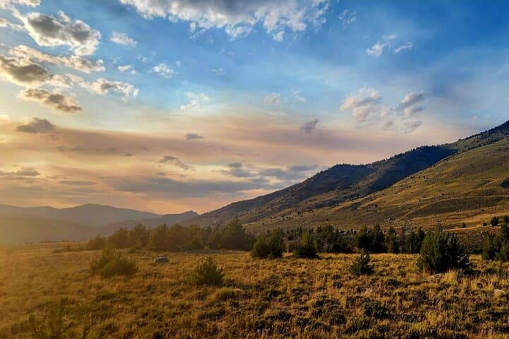 Day Hike from Gardiner: Guided Wilderness Walk in Yellowstone photo 5