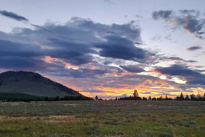 Day Hike from Gardiner: Guided Wilderness Walk in Yellowstone photo 6