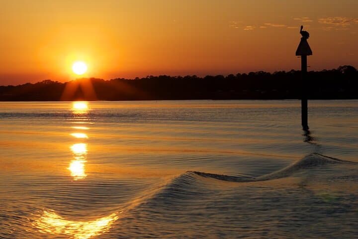Savannah Sunset Dolphin Eco Tour — Dolphin Watching Cruise on the Intracoastal photo 3