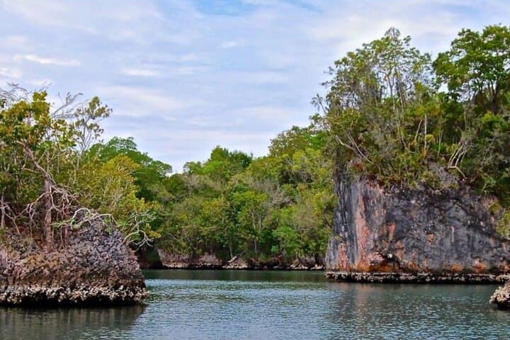 Los Haitises National Park: Boat Tour to Caves, Mangroves & 2‑Hour Rainforest Hike photo 6