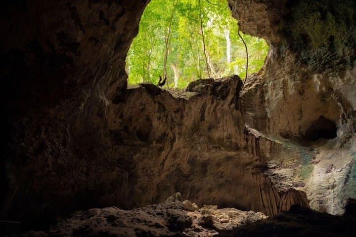 Hike and Kayak Los Haitises: Mangrove Tunnels, Taino Caves & Karst Coast photo 5