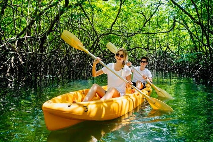 Hike and Kayak Los Haitises: Mangrove Tunnels, Taino Caves & Karst Coast photo 6