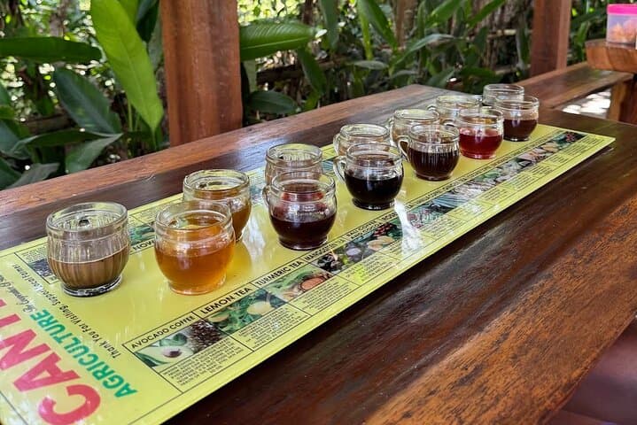 Ubud Full-Day Private Cultural Tour: Temples, Rice Terraces & Monkey Forest photo 5