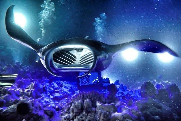 Kona Town Manta Sunset Snorkel — Night Snorkel with Giant Manta Rays photo 2