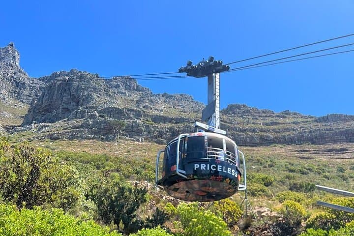 Ride Up Table Mountain: Full-Day Cape Town Cableway & City Highlights photo 4