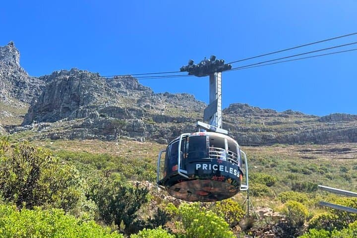 Ride Up Table Mountain: Full-Day Cape Town Cableway & City Highlights photo 5