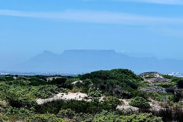 Birdwatching at Geelbek Hide — West Coast National Park Guided Tour photo 4