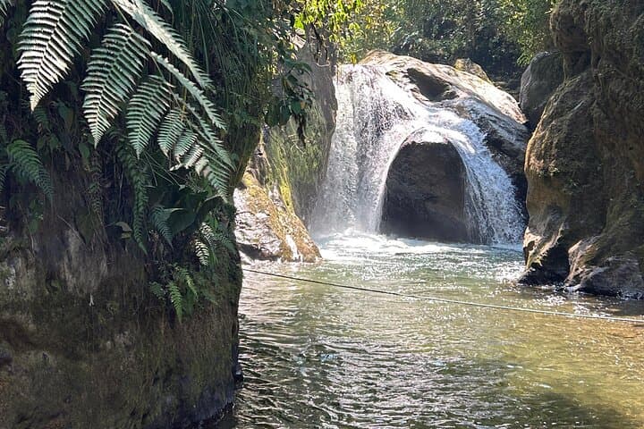 Mindo Cloud Forest Day Trip from Quito: Birds, Waterfalls & Chocolate photo 4