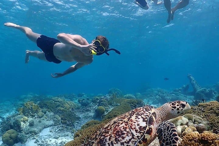 Private Snorkel Tour in Bonaire Marine Park — Klein Bonaire Charter photo 4