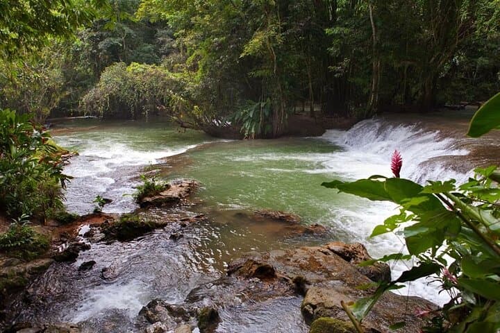 Dunn’s River Falls and Zipline: Ocho Rios Adventure with Roundtrip Transfers photo 4