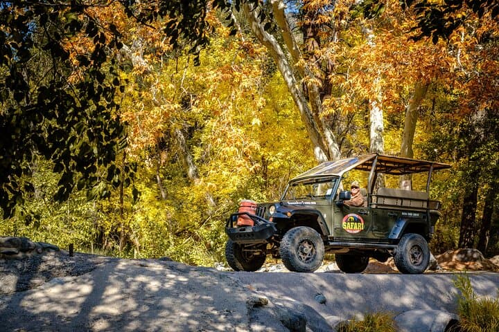 Oak Creek Canyon Pavement Jeep Tour — Scenic Sedona Drive on Route 89A photo 4