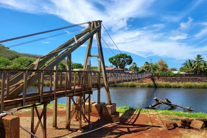 Kauai in a Day: Small-Group Waimea Canyon, Kōkeʻe & South Shore Highlights photo 3