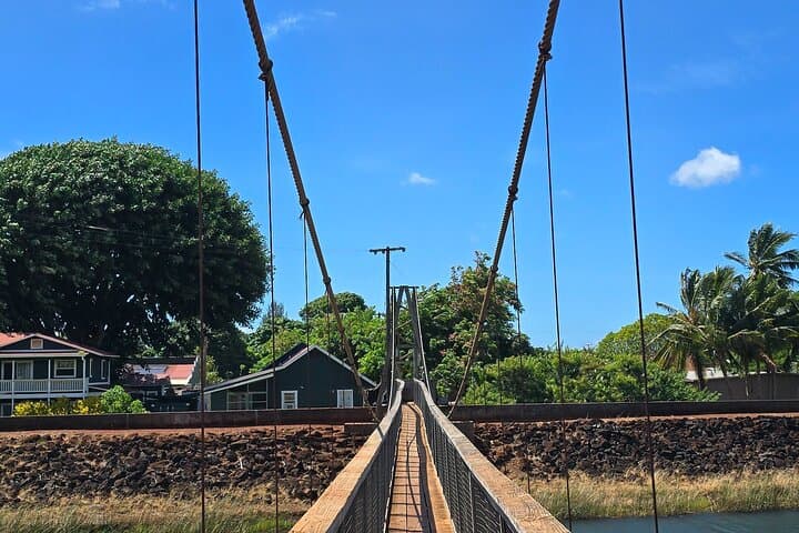 Kauai in a Day: Small-Group Waimea Canyon, Kōkeʻe & South Shore Highlights photo 6