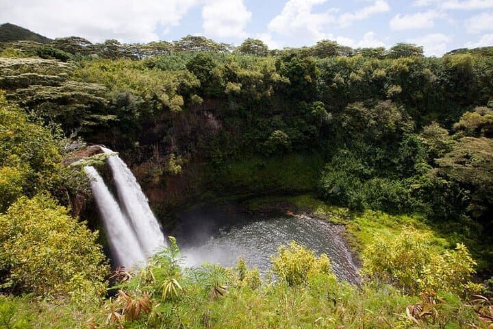 Kauai in a Day: Small-Group Waimea Canyon, Kōkeʻe & South Shore Highlights photo 2