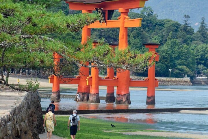 Hiroshima and Miyajima Private Guided Tour: Peace Park, Floating Torii & Local Insights photo 5