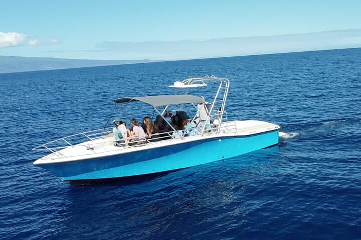 VIP Whale Watch from Kaanapali Beach — 2-Hour Maui Humpback Adventure photo 6