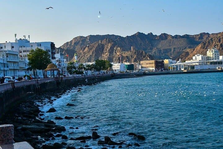 Muscat City Tour: Discover Oman’s Heritage at Sultan Qaboos Mosque & Mutrah Souq photo 3