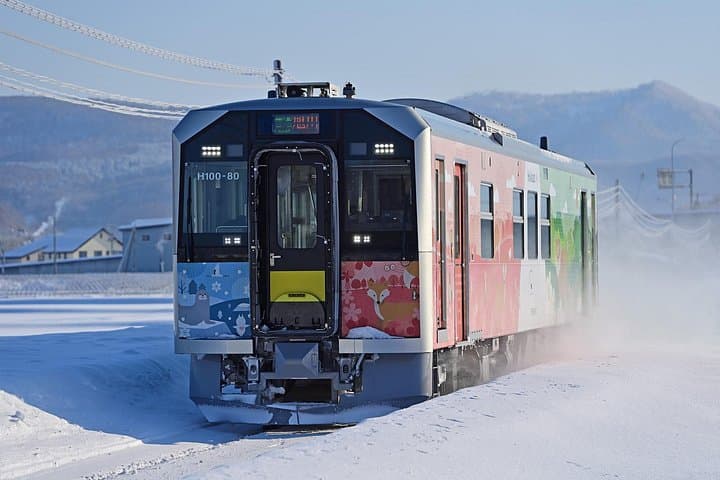 Kushiro Wetland Train & Okhotsk Drift Ice: Winter Hokkaido Journey
