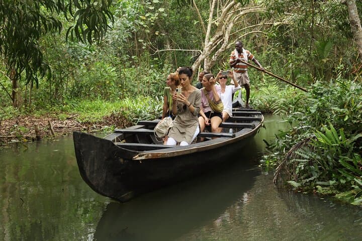 Kerala Backwaters Half-Day Sunset Eco Houseboat Tour from Kochi