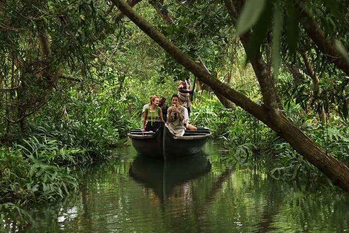 Kerala Backwaters Half-Day Sunset Eco Houseboat Tour from Kochi photo 3