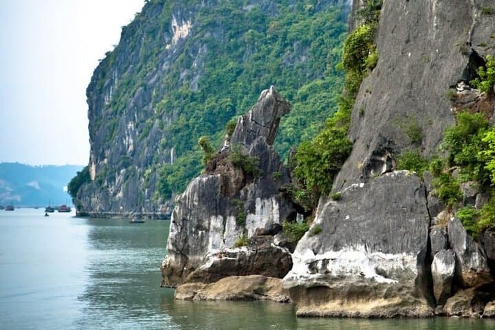 Halong Bay 4-Hour Cruise: Kayak Ba Hang & Explore Thien Cung Cave photo 6