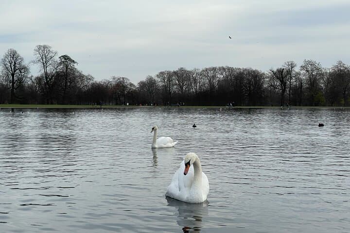 Palaces and Protests: Self‑Guided Walk Through Kensington Gardens & Hyde Park photo 4