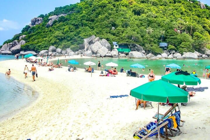 Koh Nangyuan & Hidden Bays Snorkeling from Koh Tao: Day Trip to Turtles and Reef Gardens photo 4