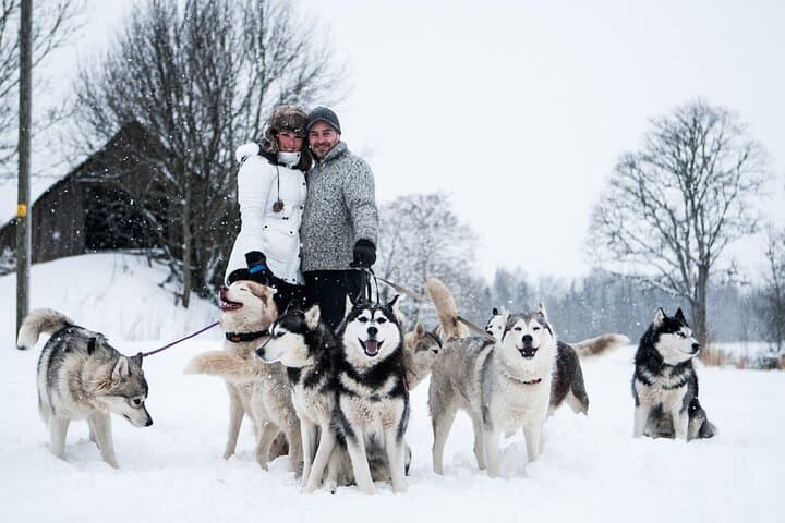 Cani-Cross at Kõrvemaa: Husky Park Hike from Tallinn photo 5