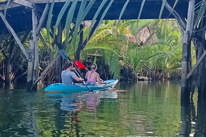 Sunset Kayak Through Kampot's Green Cathedral — Guided Mangrove Loop