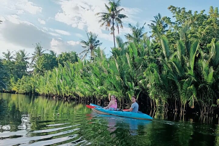 Sunset Kayak Through Kampot's Green Cathedral — Guided Mangrove Loop photo 2