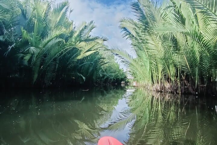Sunset Kayak Through Kampot's Green Cathedral — Guided Mangrove Loop photo 5